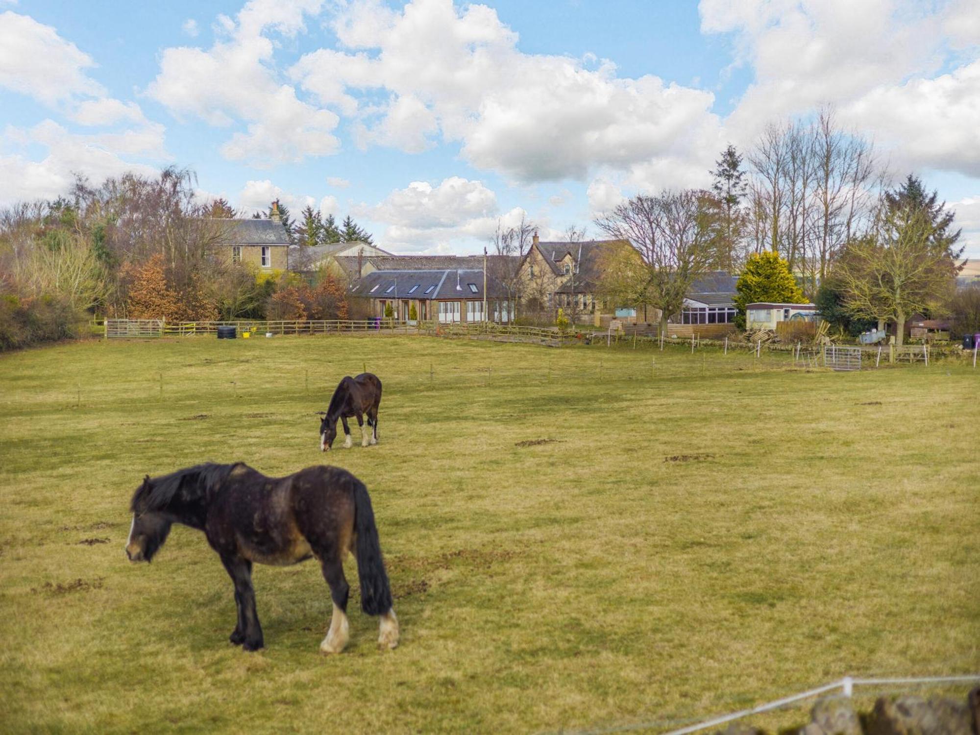 Appletree Cottage Kirkton of Tealing Extérieur photo